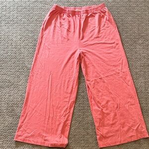 Z Supply Scout Jersey Pants